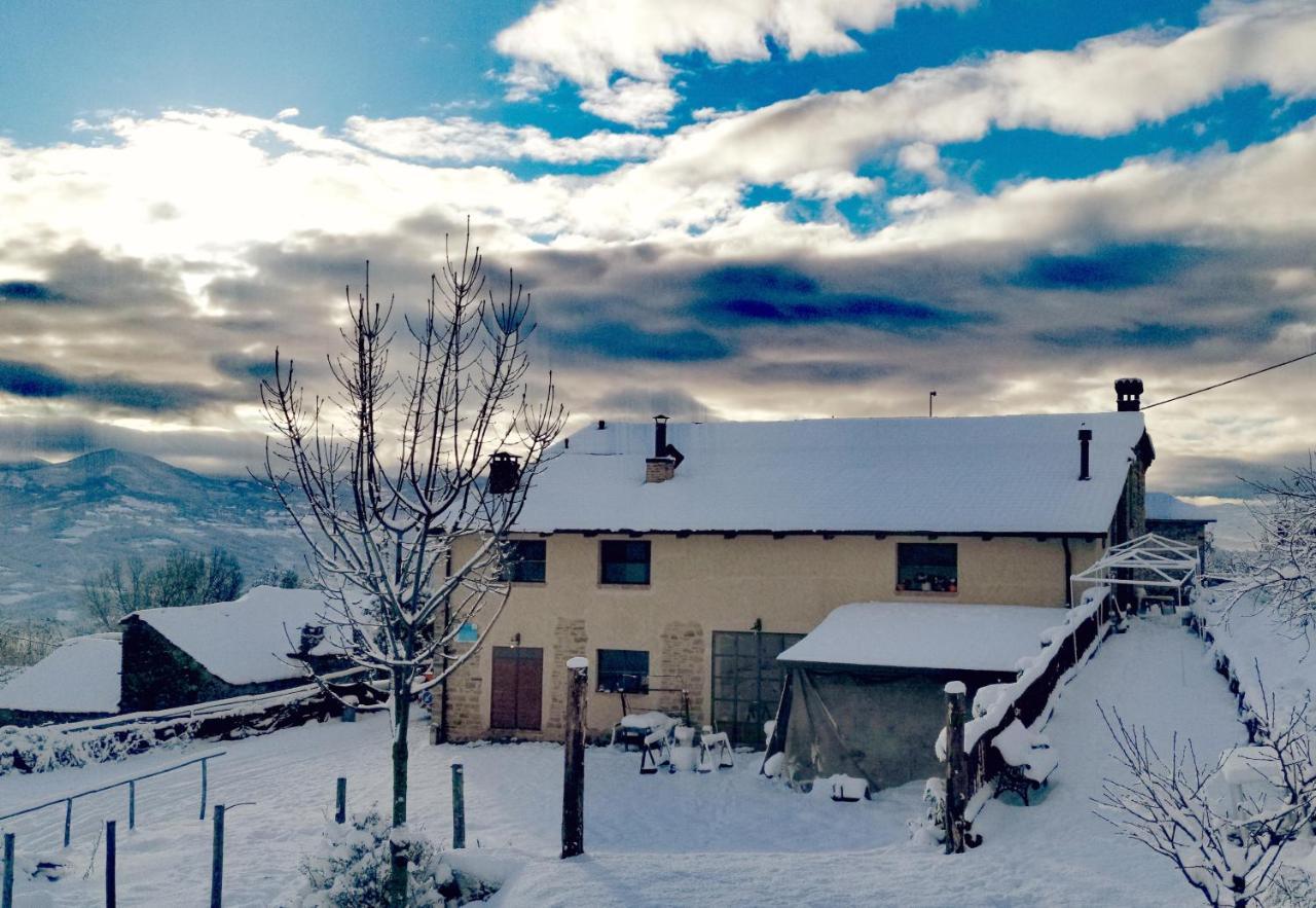 Daina Bianca Bed & Breakfast Solignano Dış mekan fotoğraf