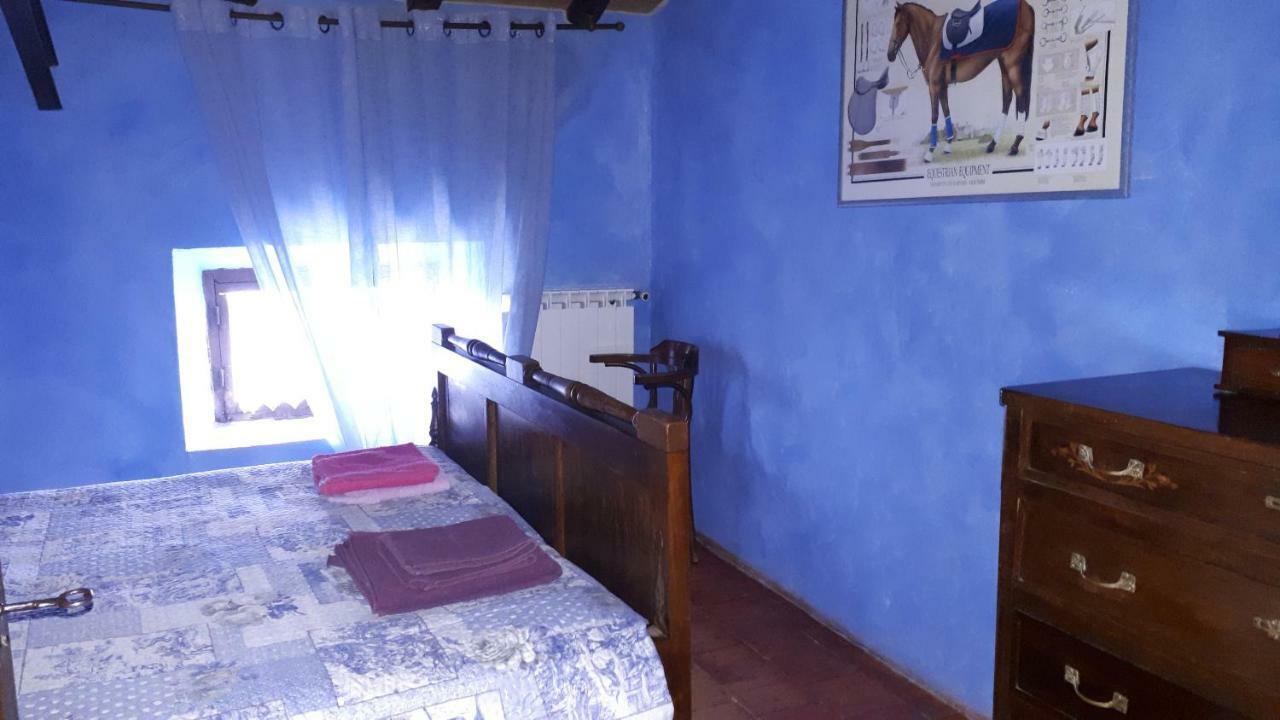 Daina Bianca Bed & Breakfast Solignano Dış mekan fotoğraf